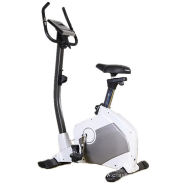 Indoor Exercise Upright Magnetic Bike